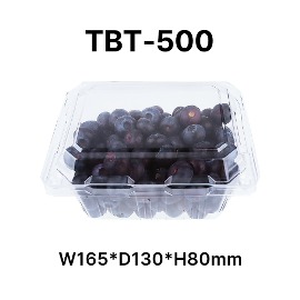과일 블루베리 방울토마토 500g 포장용기    TBT-500 방담 [500개]